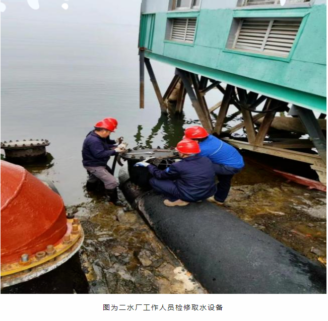 正版狗跑高清图